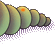 caterpillar