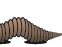 worm