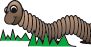 worm