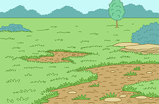 An open area of dirt and grass.