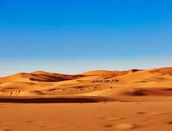 a photograph of the Sahara Desert