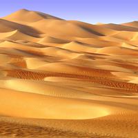 A picture of a desert.