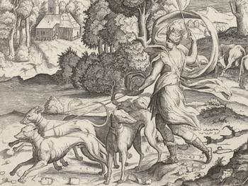 A woman is walking with a pack of dogs. She is holding onto their leashes. Two of the dogs are looking forward and pulling on their leashes.