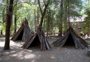 Three nonpermanent structures in the center of a clearing. They are made of tree bark arrnged in a cone shape.
