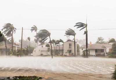 A road is covered in water. The leaves on the trees are blown sideways. The sky is gray.