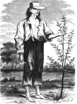 A tall man is standing next to a tree. He is touching the tree and looking at it. He is smiling slightly.