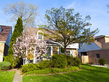 There are houses next to each other. There are trees, bushes, and green grass in the front yards.