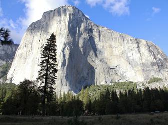 a large, white mountain surrounded by trees