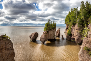 A photo of a rocky shoreline shows many partially submerged rocks. The ocean water reaches the cliffs in the foreground.