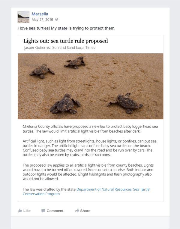Marsella, May 27, 2016. I love sea turtles! My county is trying to protect them. Lights out: sea turtle rule proposed. Jasper Gutierrez, Sun and Sand Local Times. Chelonia County officials have proposed a new law to protect baby loggerhead sea turtles. The law would limit artificial light visible from beaches after dark. Artificial light, such as light from streetlights, house lights, or bonfires, can put sea turtles in danger. The artificial light can confuse baby sea turtles on the beach. Confused baby sea turtles may crawl into the road and be run over by cars. The turtles may also be eaten by crabs, birds, or raccoons. The proposed law applies to all artificial light visible from county beaches. Lights would have to be turned off or covered from sunset to sunrise. Both indoor and outdoor lights would be affected. Bright flashlights and flash photography also would not be allowed. The law was drafted by the state Department of Natural Resources' Sea Turtle Conservation Program.