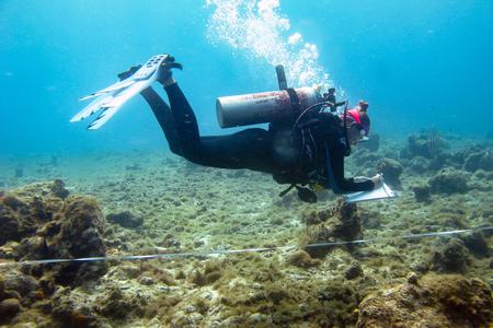 A scientist wearing diving equipment looks at a damaged coral reef on the ocean floor. She records her notes on a clipboard.