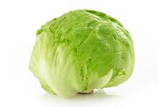 a head of lettuce