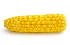 corn on the cob