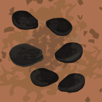small black seeds