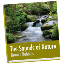 The Sounds of Nature.